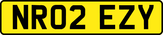 NR02EZY