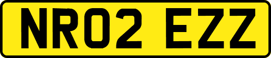 NR02EZZ