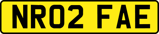 NR02FAE