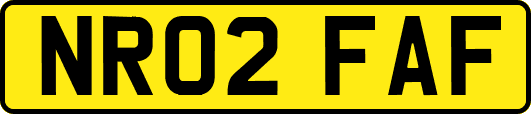 NR02FAF
