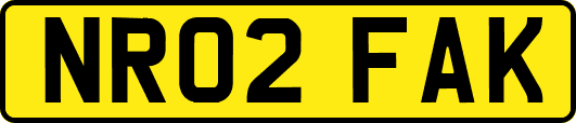 NR02FAK