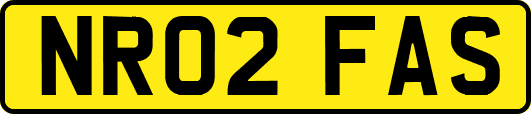NR02FAS