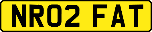 NR02FAT