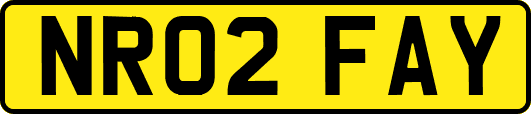 NR02FAY