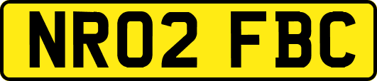 NR02FBC