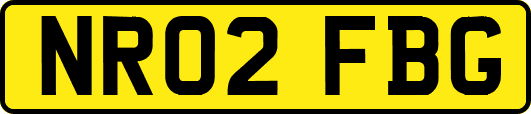 NR02FBG