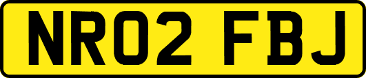 NR02FBJ