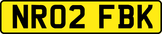 NR02FBK