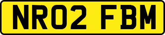 NR02FBM