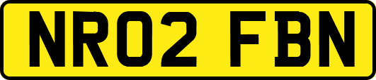 NR02FBN