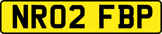 NR02FBP