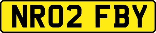 NR02FBY