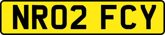 NR02FCY