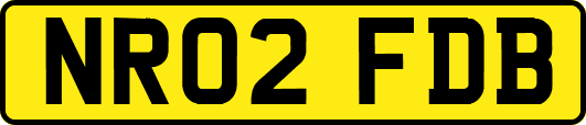 NR02FDB