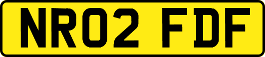 NR02FDF