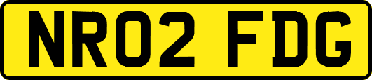 NR02FDG