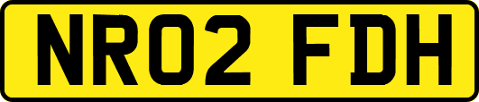 NR02FDH