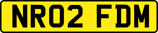 NR02FDM