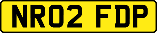 NR02FDP