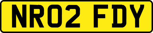 NR02FDY