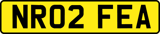 NR02FEA