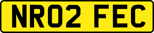 NR02FEC