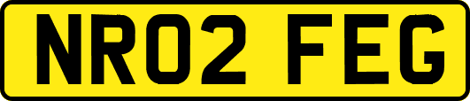 NR02FEG