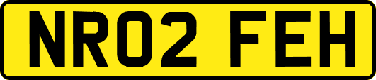 NR02FEH