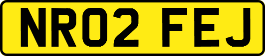 NR02FEJ