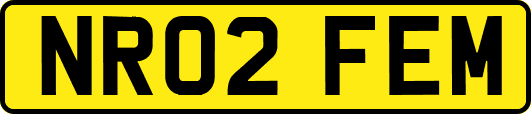 NR02FEM