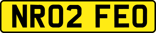 NR02FEO