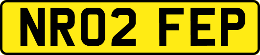 NR02FEP