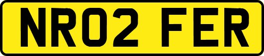 NR02FER