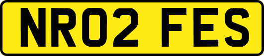 NR02FES