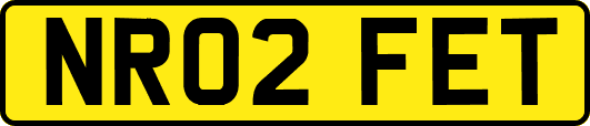 NR02FET