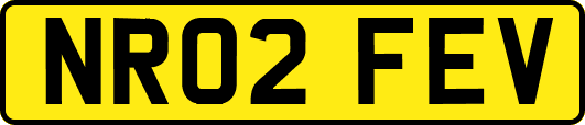 NR02FEV