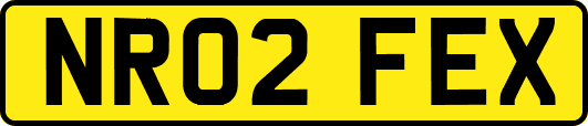 NR02FEX