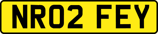 NR02FEY