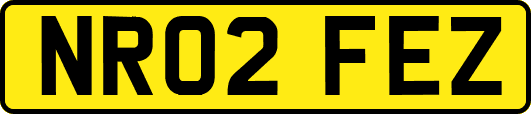 NR02FEZ