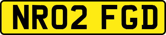 NR02FGD