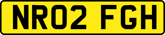 NR02FGH