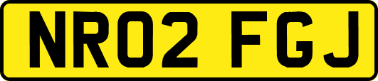 NR02FGJ