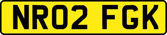 NR02FGK