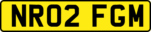 NR02FGM