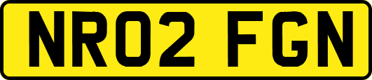 NR02FGN