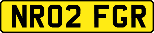 NR02FGR