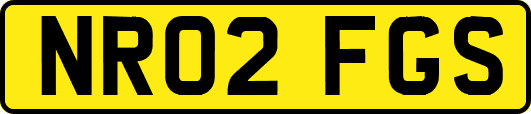 NR02FGS