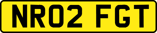 NR02FGT
