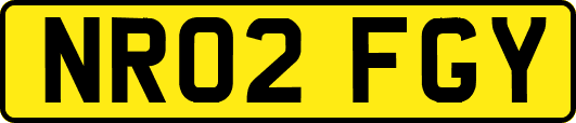 NR02FGY