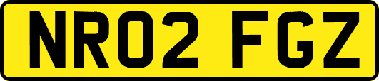 NR02FGZ